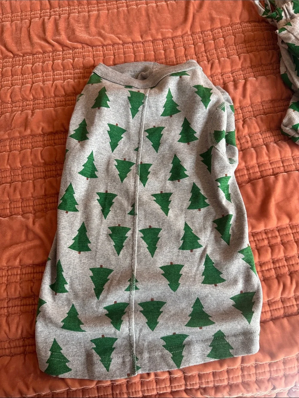 Hanna Andersson Gray Dog Sweater with Green Tree Print